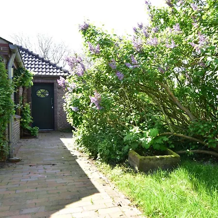 Haus Küstersmatt Am Deich - Ferienhaus *