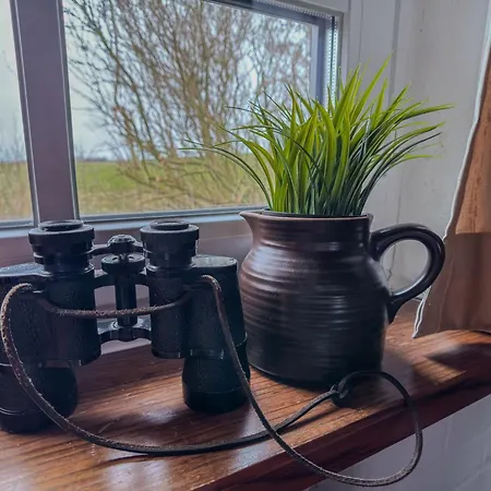 Haus Küstersmatt Am Deich - Ferienhaus *